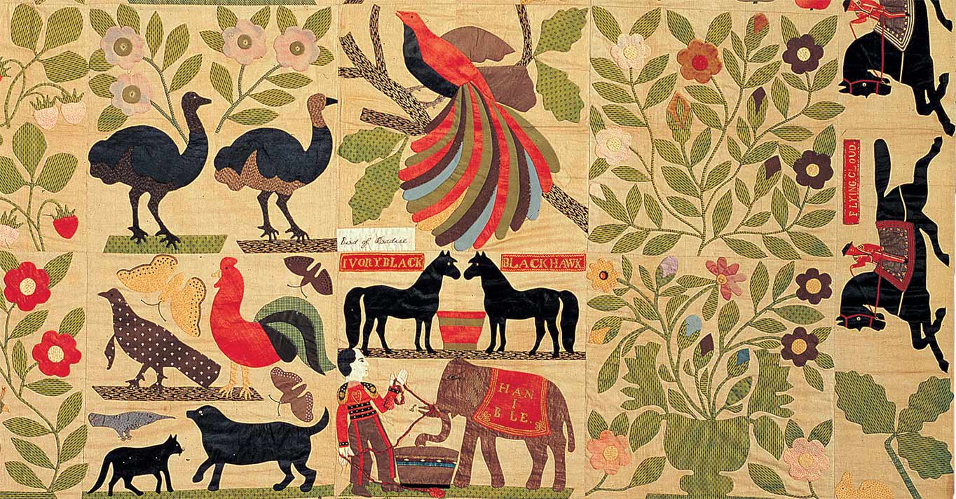 Self Taught Genius featured image