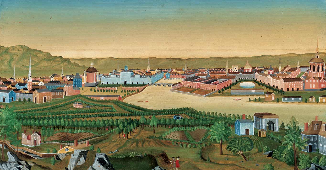 Self Taught Genius featured image